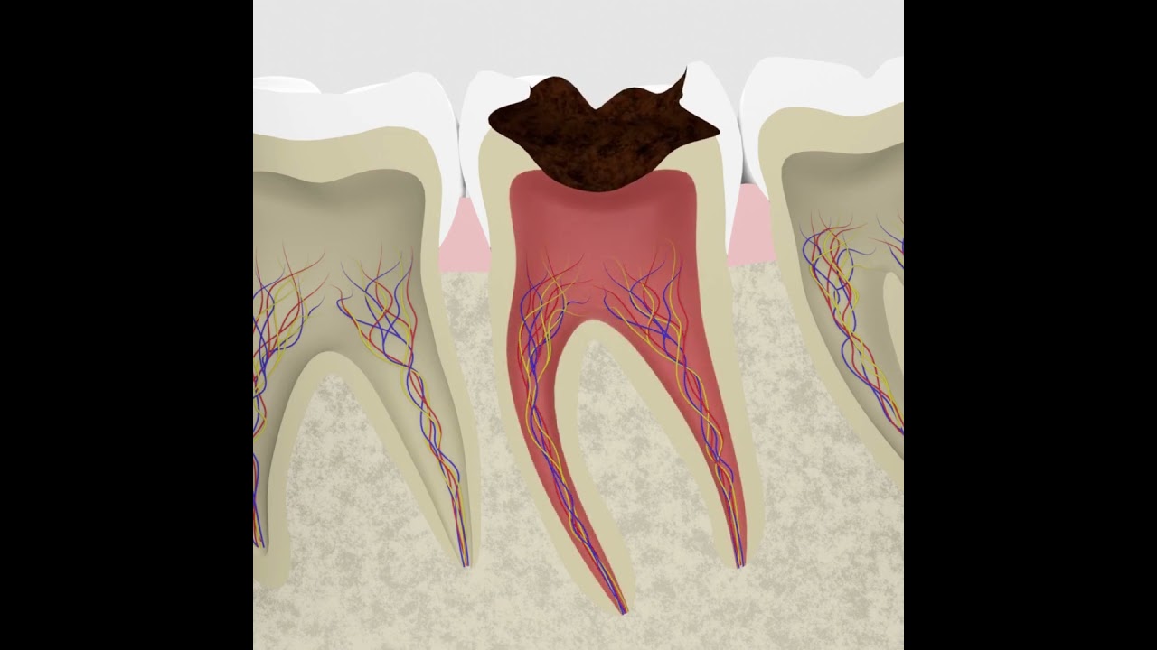 Lorena Reyes Nava-20