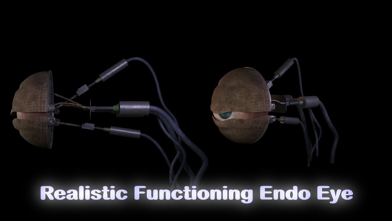 Realistic Functioning Endo Eye
