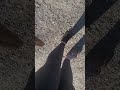Always Fun Loosing Your Shoe In The Mud It Actually Felt Good Stepping In The Mud