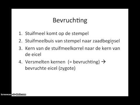 Bs 3 - Bevruchting (Thema 7 - Bloemen, vruchten, zaden)