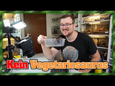 Das Community-Geschenk der 1.Season - Umzugfertig machen