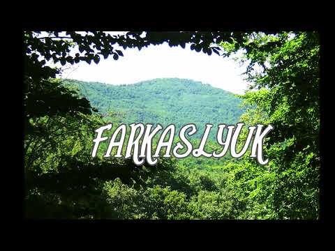 BORSOD ABAÚJ ZEMPLÉN MEGYE - FARKASLYUK