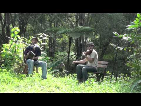 Yeshe with Cye Wood - Peace of Mind (Rainforest Jam)