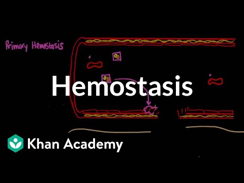 Hemostasis | Advanced hematologic system physiology | Health & Medicine | Khan Academy