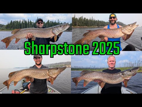 Sharpstone Lake 2025 - Canada Fly-In Fishing Trip (Short)
