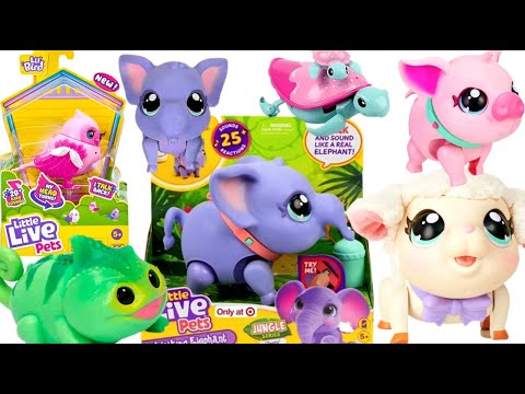 UNBOXING BIG SET LITTLE LIVE PETS | NEW TOY BLUE ELEPHANT |MOOSE TOYS| ASMR