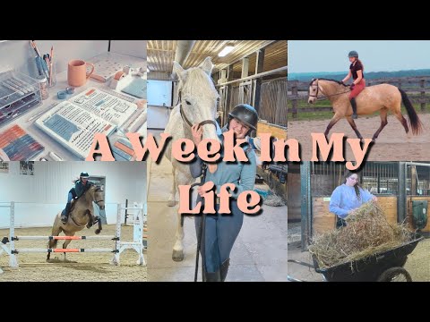 a chaotic week in the life of a high school equestrian