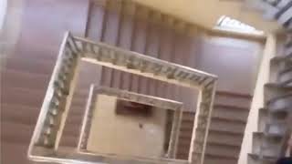 Rat Jumps off stairs