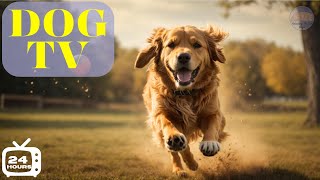 🐶 DOG TV: Keep Your Dog Entertained & Anxiety-Free When Home Alone ( 24 Hours Music For Dogs)
