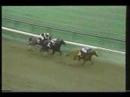 Meadow Star (Breeders Cup Champion) Spinaway Stakes 1990