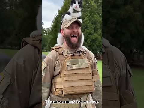 The cat welcomes its hero home.#cat #soldier #militarytiktok #militaryhomecoming #usa🇺🇸 #fyp