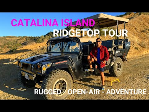 Catalina Island | MUST DO ADVENTURE