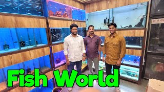 Aquarium Fish Stock at Fish World