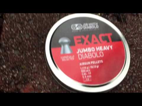 Benjamin marauder .22 accurate pellets