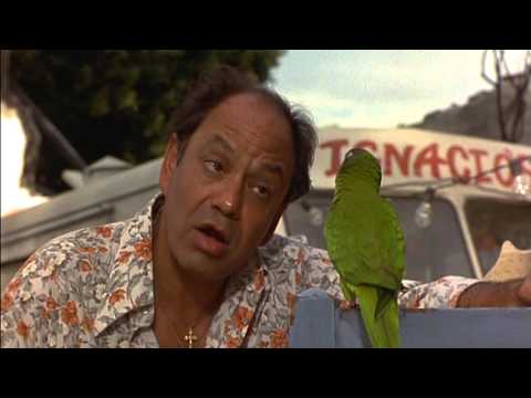 Paulie, le perroquet qui parlait trop (1998) - Bande annonce Française