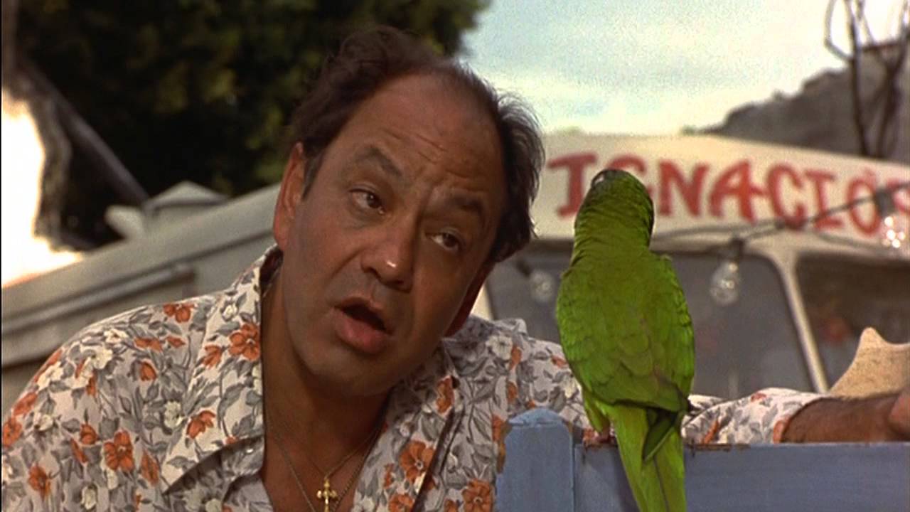 Miniature de la vidéo Paulie, le perroquet qui parlait trop (1998) - Bande annonce Française du film Paulie, le perroquet qui parlait trop