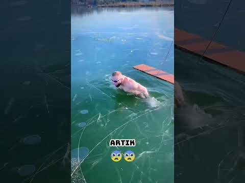 Suyun altında bir cadı yaşıyor! 🧙‍♀️🌊