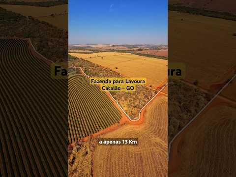 Fazenda para Lavoura em Catalão-GO #lavoura #agricultura #agronegocios