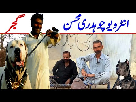 Interview of Muhsan Gujjar Dog of Khan Bhai