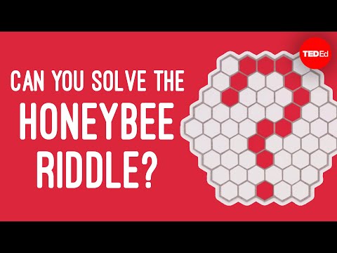 みつばちのなぞなぞは解けるのか？- ダン・フィンケル (Can you solve the honeybee riddle? - Dan Finkel)