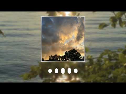 FREE MORICK - 나무.