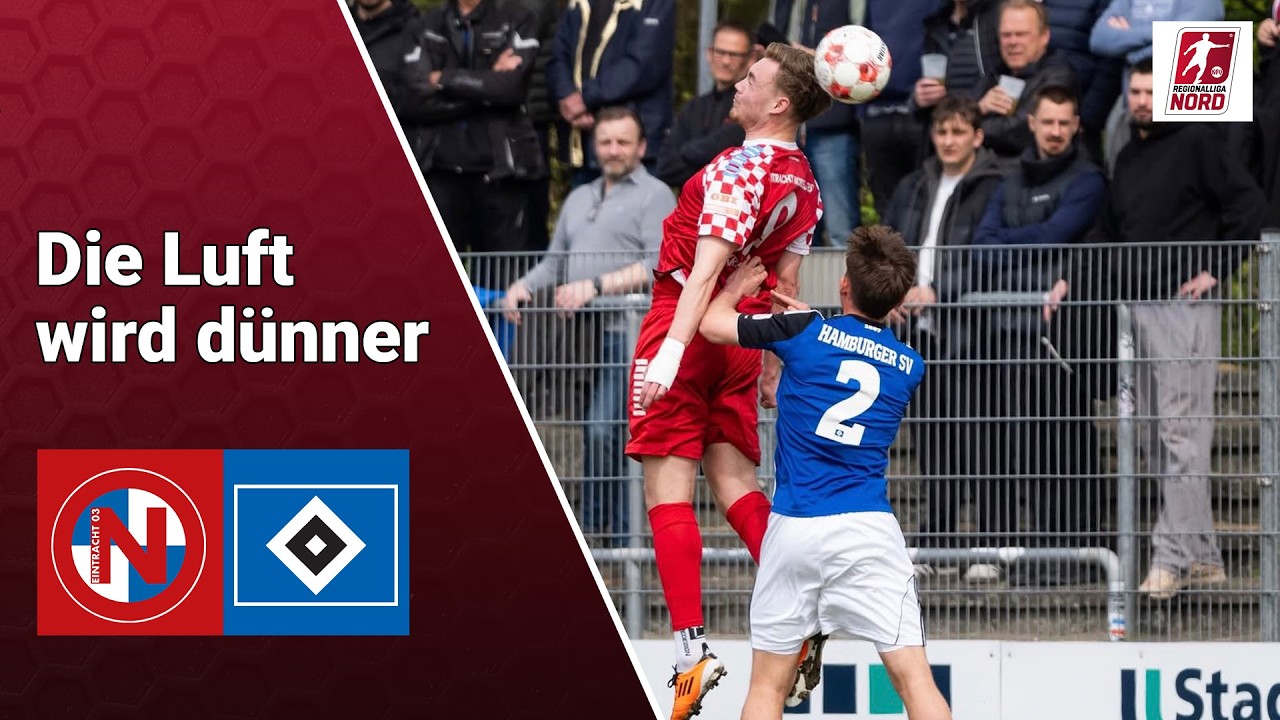 Eintracht Norderstedt vs Hamburger SV II U23 Highlights