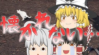 【ゆっくり実況】ゆっくりたちのファイナルファンタジーVII リメイク 道中記 part.3 中編＜FF7リメイク＞※ネタバレ注意