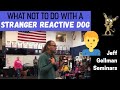 What NOT to do with a Stranger Reactive Dog - Jeff Gellman Seminars (2019)