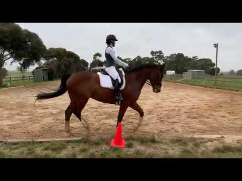 Samantha Mizzi riding Everton Fiderschön Test 3.5 HRCAV Coastal Equestrian Online Dressage Comp 2020