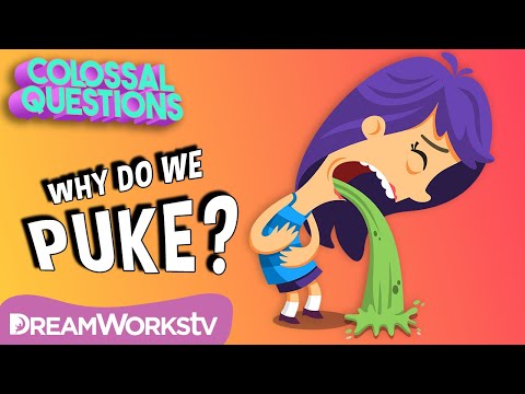 Why Do We Throw Up? | COLOSSAL QUESTIONS