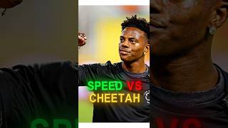Cheetah going 1 percent speed 😭😳#trackandfield #usainbolt #teamusa #s...