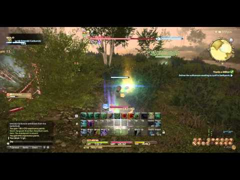 (PC) Final Fantasy XIV A Realm Reborn - Part 14 Thanks a Million