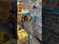 Hurricane Prep Here S What We Did To Prepare Hurricaneseason2024 Hurricaneprep