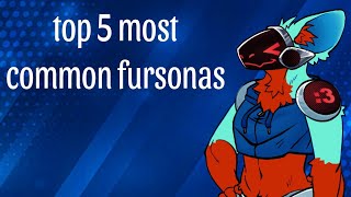 top 5 most common fursonas