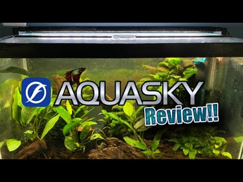 Top rated aquarium light review | Fluval AquaSky 2.0 | Bluetooth Aquarium freshwater light