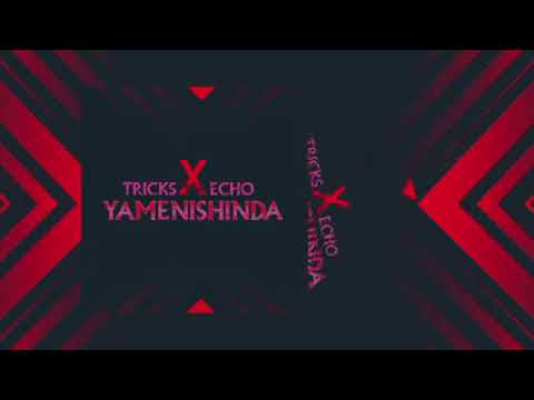 Tricks  X echo 254   official audio#yamenishinda 😥😥😥