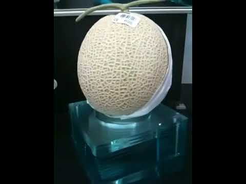 Crazy fruit prices in Japan 240p