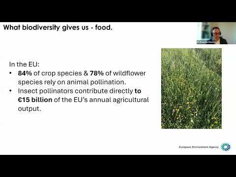 Conservation Methods: A Multifaceted Approach | Vibepedia