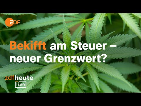 Cannabis-Legalisierung: Lauterbach und Toxikologe zu Kiffen am Steuer | ZDFheute live