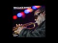 Wallace Roney - Combustible