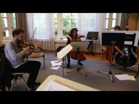 Anton Svetlichny. The Whale (Total Loneliness) for vn, vc & db (2011). 05/08/2016, Darmstadt