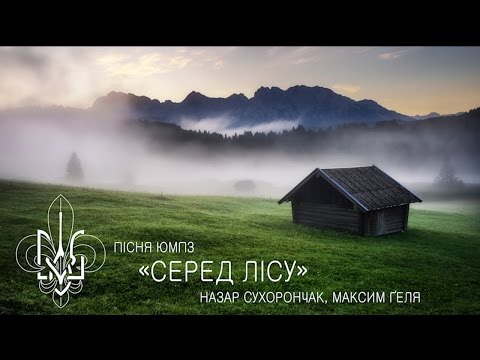 Музичне відео