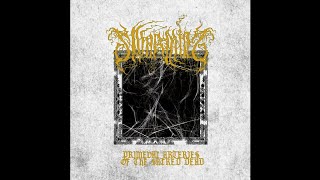 Swarming (US) - Veins (Track Premiere) 2020