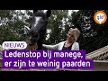 Maneges luiden de noodklok: door gebrek aan paarden is er een ledenstop