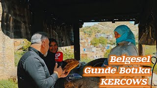 Belgesel Yemişli köyü Batman Gercuş 2025 = Gundê Botıka