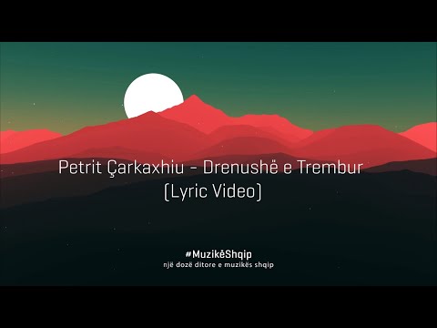 Petrit Çarkaxhiu - Drenushë e Trembur (Lyric Video)