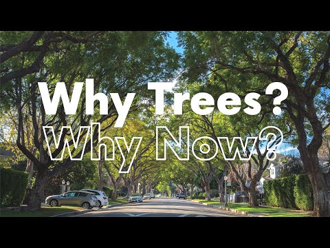 How to Keep Your Trees & Landscapes Thriving During the Drought