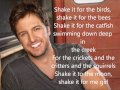 Luke Bryan- Country Girl (Shake It For Me) Lyrics