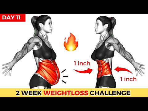Do This 30 Min Everyday To Lose Weight Belly Fat 2 Weeks Shred Challenge DAY 1