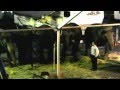 Ringling Brothers Circus Dragons Cruelty Sick Swaying Elephants L A Ele Before Anaheim 2012